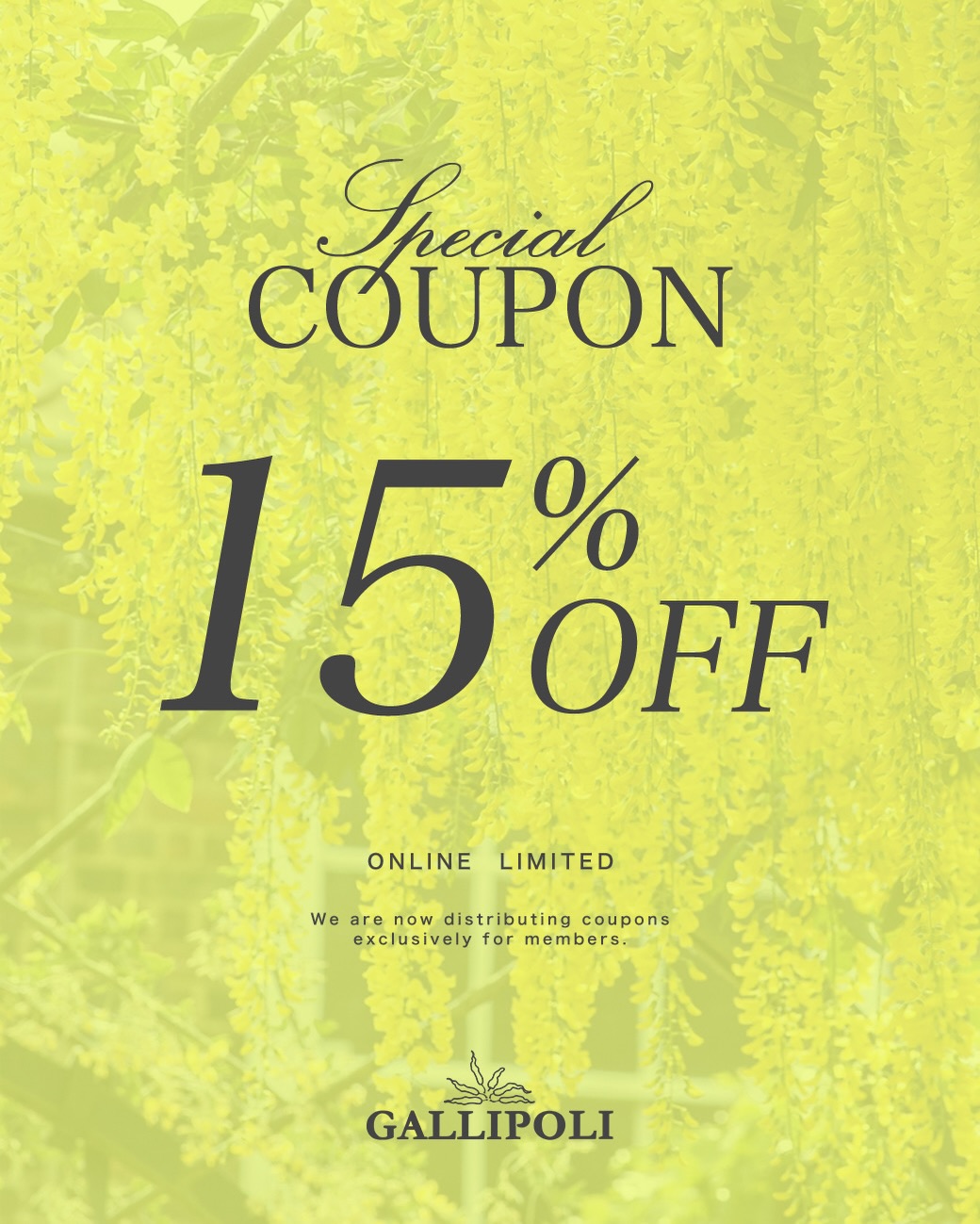 ・ SPECIAL COUPON GALLIPOLIオンラインショップでは、 会員様限定の 15％OFFクーポンを ご用意しました。 シャツを美しく引き立てる、 大人のためのセットアップ。 軽快な着心地に、 余裕と色気を添えたLEON別注。